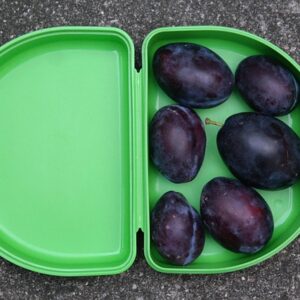 Sund madpakke på farten: 7 børnevenlige idéer til travle morgener